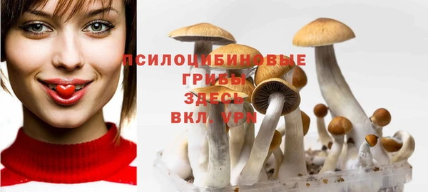 MDMA Покачи