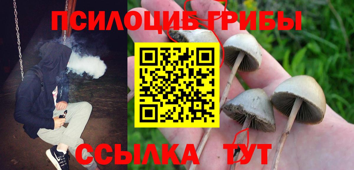 Галлюциногенные грибы GOLDEN TEACHER Краснодар