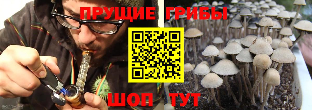 Краснодар  Псилоцибиновые грибы MAGIC MUSHROOMS  Вход с VPN 